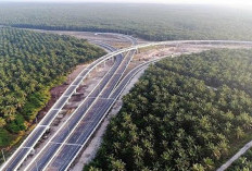 Tol Palembang-Jambi Tetap Ditargetkan Rampung Total 2025, Meskipun Baru Beroperasi 2026