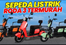 Lebih Irit, Lebih Hebat! 5 Merek Motor Listrik Roda 3 dengan Teknologi Canggih dan Daya Angkut Maksimal