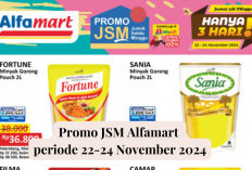 Hemat Akhir Pekan! Ada Promo JSM Alfamart Periode 24 November 2024, Camar Minyak Goreng Pouch 2L Rp35.900