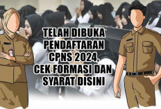 Cek Berkasmu! Pendaftaran CPNS 2024 Dibuka: Jadwal, Formasi, Syarat dan Cara Daftar