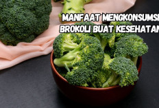 Makan Brokoli Bisa Awet Muda, Benarkah? Berikut 6 Manfaat Mengkonsumsi Brokoli
