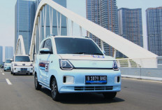 7 Pilihan Mobil Listrik Mungil Imut dengan Harga Lebih Terjangkau, No 7 Sangat Cocok untuk Cewek!
