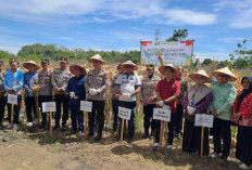 Perwakilan Kejari Prabumulih Ikut Hadir Dalam Kegiatan Panen Raya Jagung Serentak Tahap III