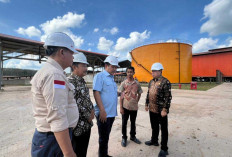 Inovasi Hilirisasi Sawit Tuai Pujian, Pabrik CPO KUD Sejahtera Jadi Model Nasional