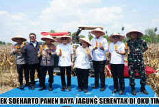 Hadiri Panen Raya Jagung Serentak di OKU Timur, Titiek Soeharto Puji Polri Mampu Mainkan Peran Dampingi Petani