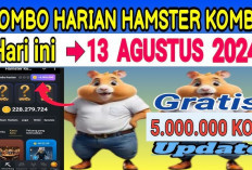 Ambil Sebelum Hangus! Klaim 3 Kartu Combo Hamster Kombat 13 Agustus 2024 dan Menangkan 5 Juta Koin Setiap Hari