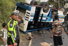 Diduga Tak Kuat Menanjak, Micro Bus Terguling di OKU Selatan