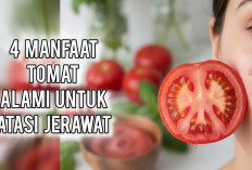 Si Penyelamat Kulit, Inilah 4 Manfaat Tomat untuk Mengatasi Jerawat