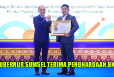 Terima Penghargaan dari Kepala BKN RI, untuk Herman Deru Singgung Kekurangan ASN di Daerah Pemekaran Baru