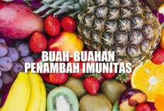 Buah-Buahan Penambah Imunitas, 5 Pilihan Terbaik untuk Tubuh Sehat