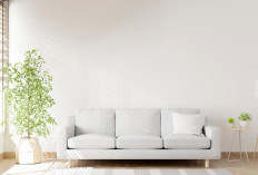 4 Pilihan Ide Dekorasi Ruang Tamu Agar Lebih Estetik, Ini Dia Inspirasinya!