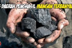5 Tambang Emas Hitam Indonesia! Berikut Daerah Penghasil Mangan Terbaik yang Bikin Negara Kaya Raya
