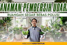 7 Tanaman Pembersih Udara Aman Ditaruh di Dalam Maupun Luar Rumah, Coba Deh!