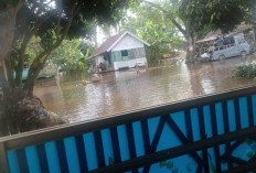 Banjir Melanda Gandus Palembang, Warga Kesulitan Akses Jalan dan Alami Kerugian Ekonomi