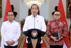 Benarkan Pendaftaran CASN 2024 Kembali Dibuka? Ini Kata Presiden Jokowi