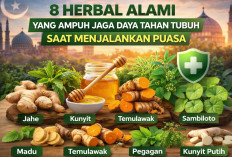 8 Herbal Alami yang Ampuh Jaga Daya Tahan Tubuh Saat Menjalankan Puasa