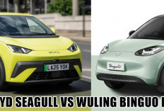 Duel Mobil Listrik Kelas Ringan! BYD Seagull vs Wuling Binguo EV: Harga Hingga Jarak Tempuh Dibongkar Habis!