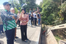 Bupati Lahat Geram Tak Ada Perusahaan yang Mau Tanggung Jawab, Nah Loh