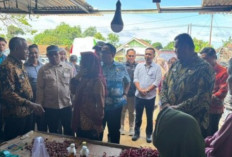 Pastikan Pasar Bebas Formalin dan Boraks, Kejari Banyuasin dan BPOM Sisir Sidak Pasar