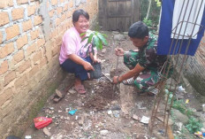 Satu Persatu Bibit Buahan Mulai Ditanam di Perkarangan Rumah Warga, Ini Buktinya