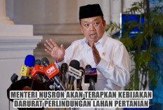 Indonesia Darurat Sawah! Inilah Rencana Besar Menteri Nusron Wahid Selamatkan Piring Nasi Kita