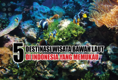 5 Destinasi Wisata Bawah Laut di Indonesia yang Memukau, Surga Tersembunyi yang Tak Kalah dengan Raja Ampat 