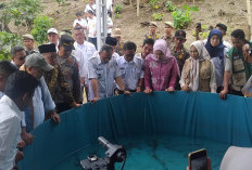 Eva Lili Susanti: Tidak Hanya Fokus di Kebun Buah Saja, Tetapi Pengembangan Kolam Ikan Terpal Bioflok