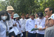 Kasus Apa Ini? Ada Agenda Sidang Pemeriksaan Setempat oleh Majelis Hakim Pengadilan Negeri Kayuagung