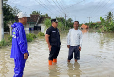 Ribuan Hektar Sawah Terendam Banjir, Kecamatan Lempuing Paling Parah
