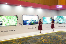LG Bawa TV Premium ke Level Baru, OLED evo AI Hadirkan Hiburan yang Makin Personal
