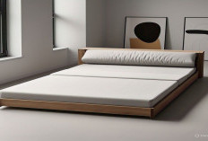 Tips Memilih Sofa Bed Minimalis yang Tepat untuk Rumah Minimalis, Dijamin Makin Estetik