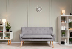 Jangan Terkecoh Desain Lucu! Ini 5 Tips Memilih Furnitur Rumah Minimalis Biar Makin Estetik