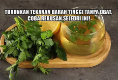Turunkan Tekanan Darah Tinggi Tanpa Obat, Coba Rebusan Seledri Ala dr Zaidul Akbar