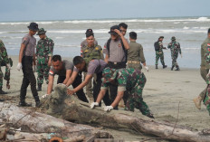 Korem Gamas Gelar Aksi Karya Bakti di Pantai Panjang, Dalam Rangka Apakah Itu?