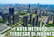 7 Kota Metropolitan Terbesar di Indonesia, Pilihan Ideal untuk Hidup Modern, Sumatera Selatan Termasuk Gak?