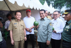 Kementerian Pertanian: Sumsel Akan Cetak Sawah 200 Ribu Hektar