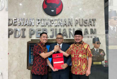 Resmi Didukung PDI Perjuangan di Pilkada Palembang, Ratu Dewa Ucap Syukur 