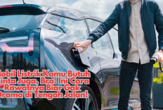Mobil Listrik Kamu Butuh Cinta Juga, Bro! Ini Cara Rawatnya Biar Gak Drama di Tengah Jalan!
