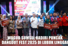 Antusias Dangdut Fest 2025, Wagub Cik Ujang Doakan Lahir Penyanyi Sumsel Berprestasi Nasional
