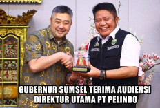 Sinergi Pemprov Sumsel dan Pelindo: Pelabuhan Tanjung Carat Siap Jadi 'Legacy' Ekonomi Baru di Sumatera