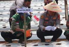 Tanam Bawang Putih di Gedung Agung, Kapolres Lahat: Dukung Percepatan Swasembada Pangan