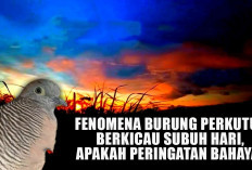 Fenomena Burung Perkutut Berkicau Subuh Hari, Apakah Peringatan Bahaya? Ini Jawaban Lengkapnya!