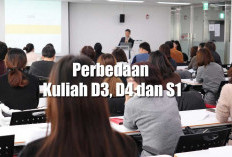 Jangan Salah Pilih! Ini Perbedaan Kuliah D3, D4 dan S1, Calon Mahasiswa Harus Tau