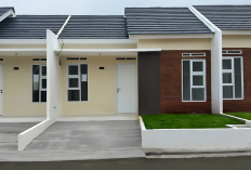 CATAT! Ini Cara, Syarat, dan Prosedur Beli Rumah Subsidi 2025