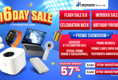 Banjir Promo Agustus! DatascripMall.ID Hadirkan Diskon Serba Spektakuler
