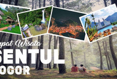 3 Tempat Wisata Keluarga Murah di Sentul, Cocok untuk Liburan Hemat Budget!