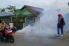Peralihan Musim Pancaroba Dinkes Lahat Minta Warga Waspada dengan Penyakit Satu Ini, Intik Yuk