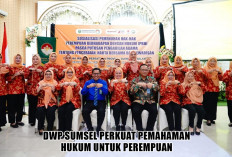 Bukan Akhir dari Konflik! Perceraian Timbulkan Masalah Baru dan Ketidakjelasan, Perempuan Sering Jadi Korban