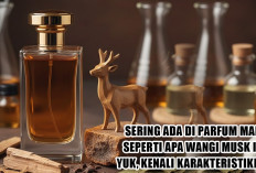 Sering Ada di Parfum Mahal, Seperti Apa Wangi Musk? Yuk, Kenali Karakteristiknya