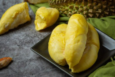 Dampak Buruk Terlalu Banyak Mengkonsumsi Durian! Meski Lezat, Apa Benar Ada Efek Samping untuk Kesehatan?